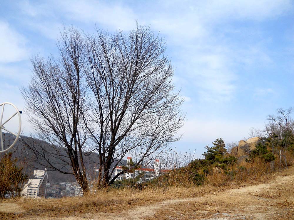 걷고 사랑하며: 홍제동 고은산 걷기