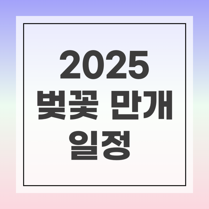 2025 벚꽃 만개시기