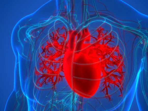콜라겐의-효능-콜라겐-부작용-건강