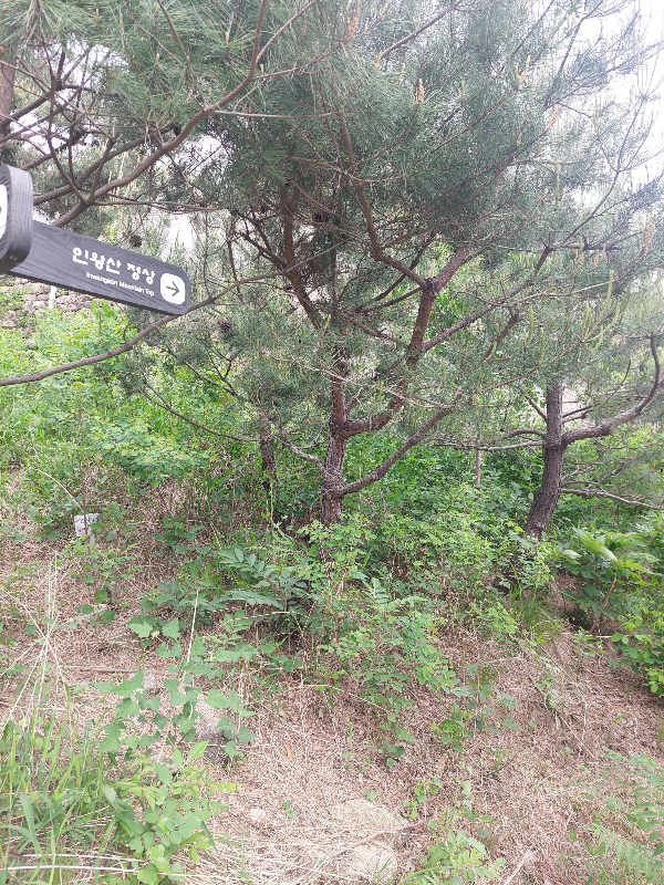 인왕산
