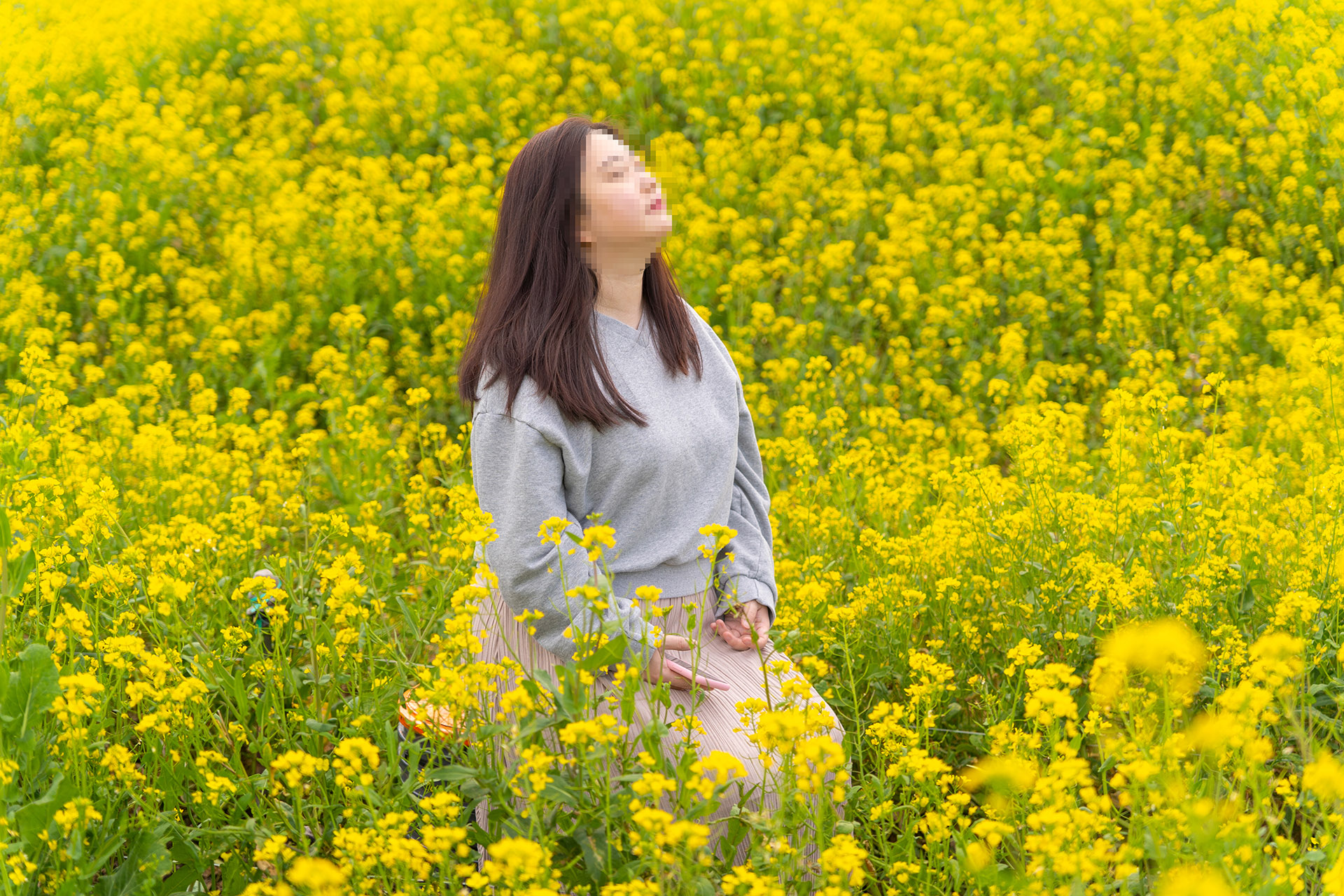 짱구네 유채꽃밭