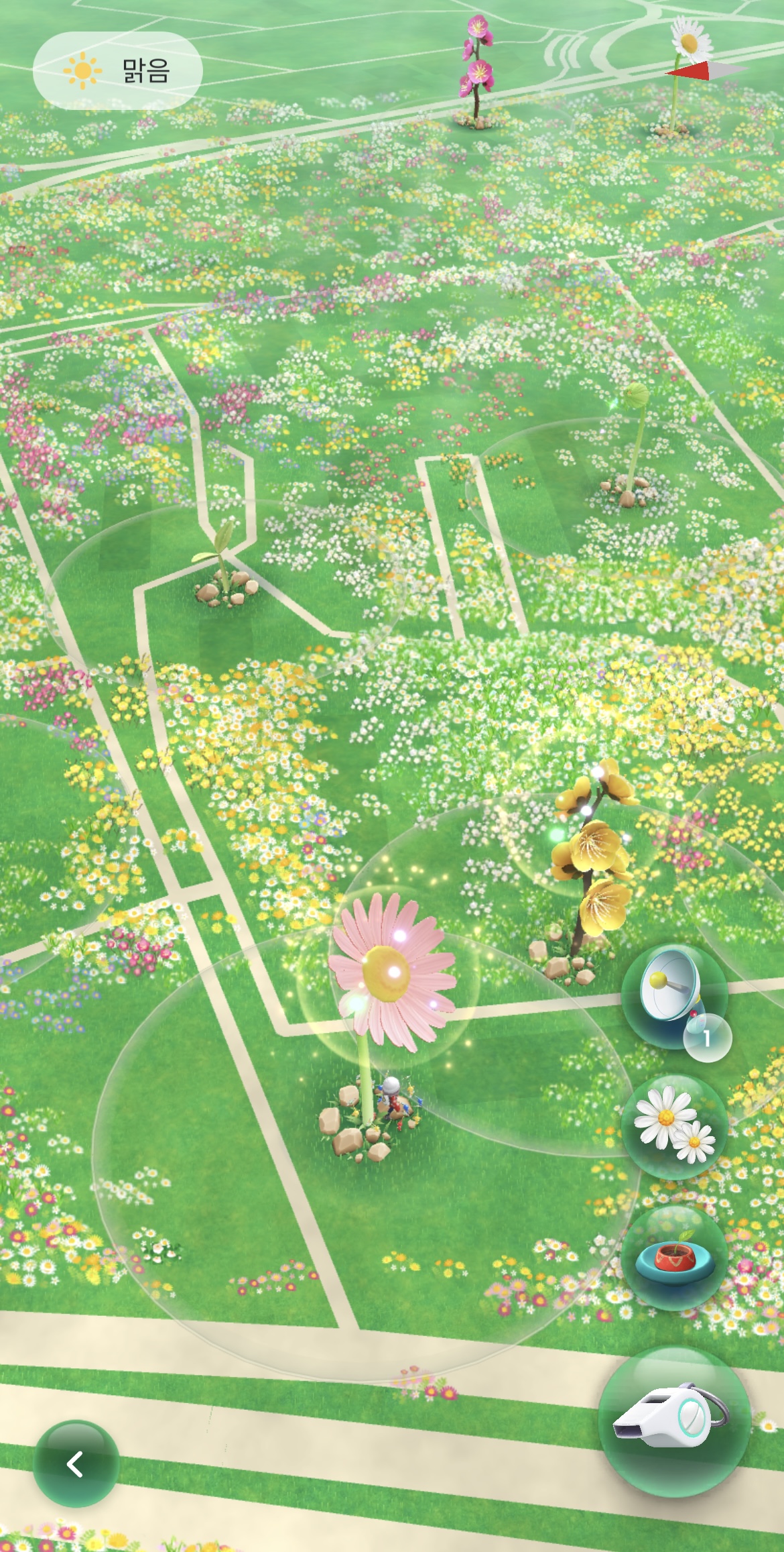 닌텐도 피크민 의미, 종류, 역사, 피크민 블룸 관련 이미지