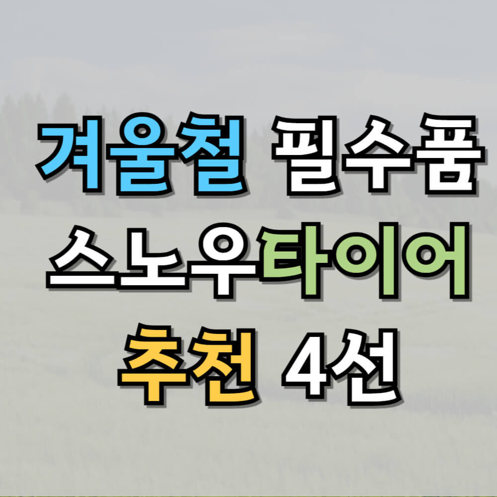 겨울철 필수품, 스노우타이어 추천