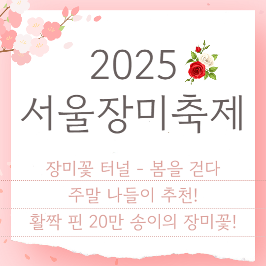 2025 중랑 서울 장미 축제!