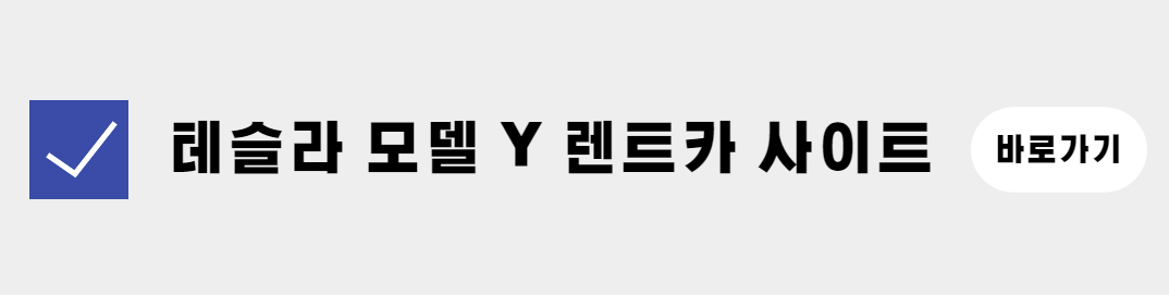 테슬라 모델 Y 렌트카 사이트 (1)