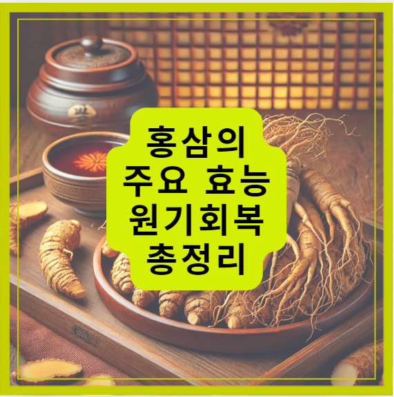 홍삼 효능 홍삼과 원기회복