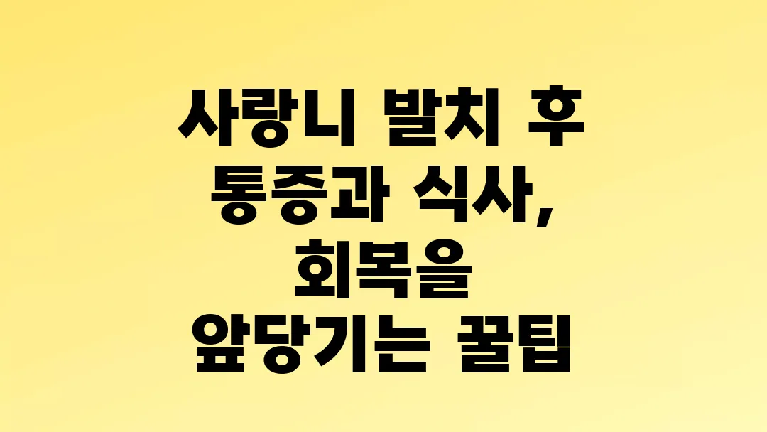 사랑니 발치 후 통증과 식사, 회복을 앞당기는 꿀팁