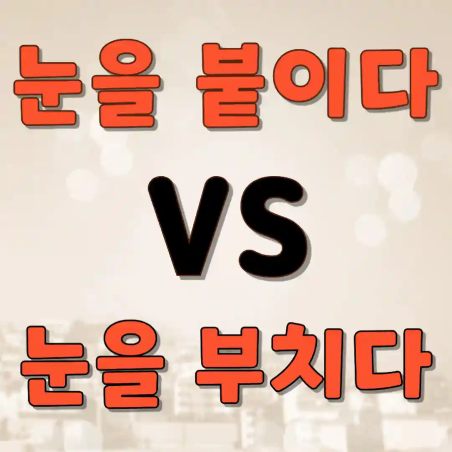 눈을 붙이다 눈을 부치다