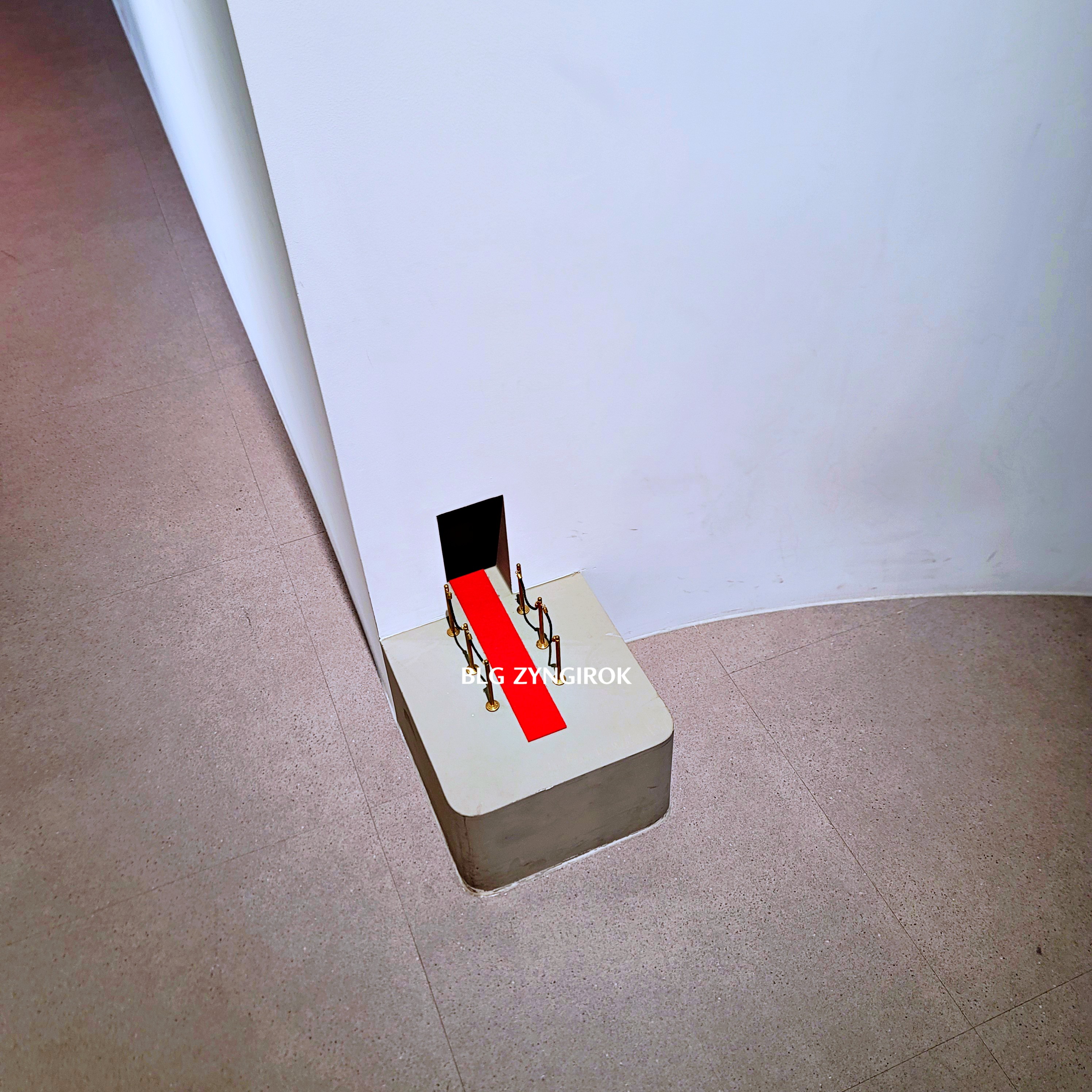 Room for Wonder : MICHAEL PEDERSON - 작품 모습이다.