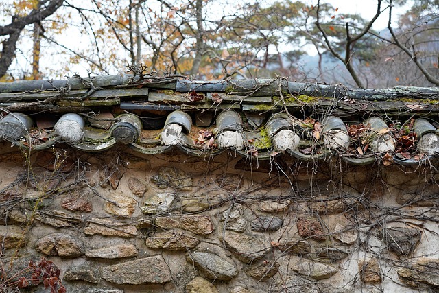 한국의 노포식당