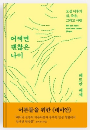 어쩌면 괜찮은 나이 책 표지