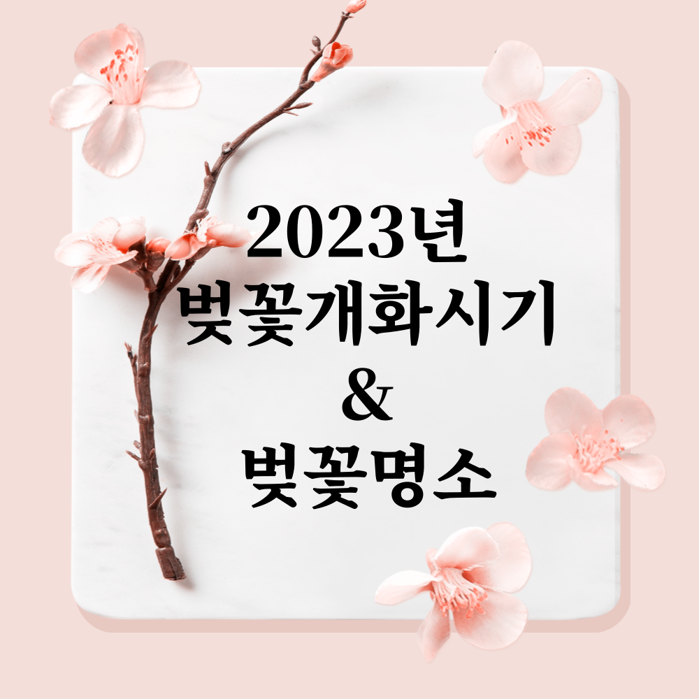 벚꽃개화