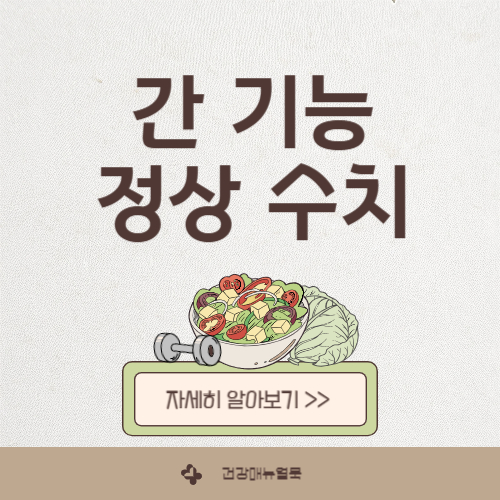 간기능 검사 정상수치