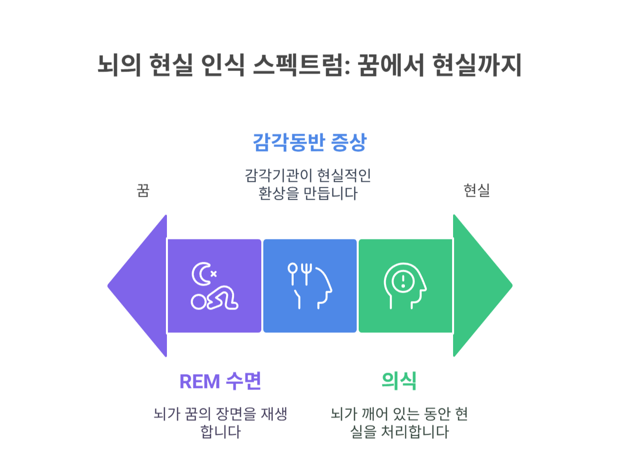 가위눌림 착각이 아니라 실제로 본 것 같은 이유
