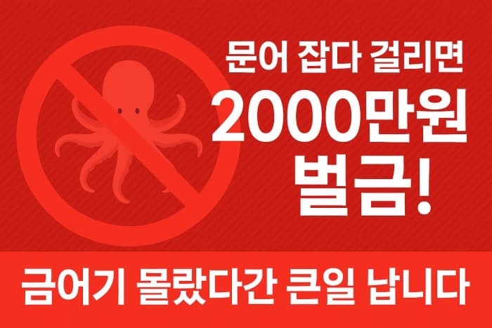 🐙 문어 금어기 기간 몰랐다간 벌금 2000만 원?! 꼭 확인하세요!