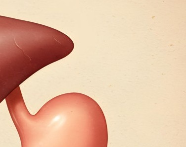 간경화 초기증상