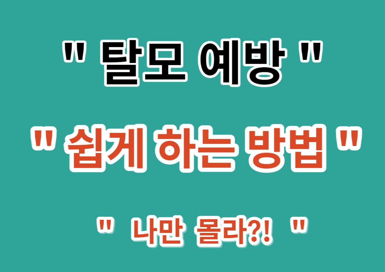 탈모 예방하는 방법 쉽게 알아보기.(닥터 모리 앤 디시)
