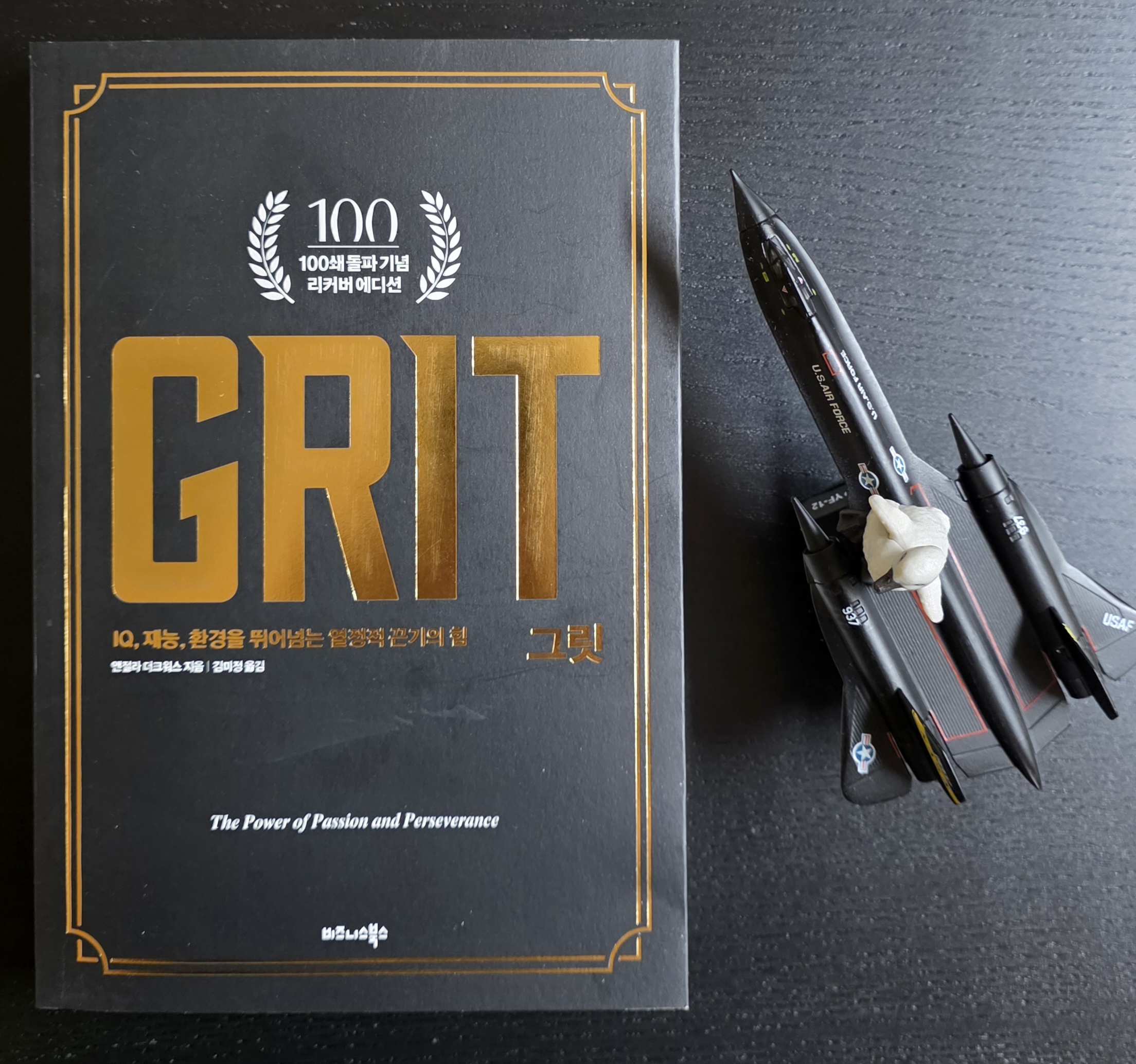 검은색 전투기 모형 위에 앉은 펭귄 피규어와 그릿 GRIT 책 표지