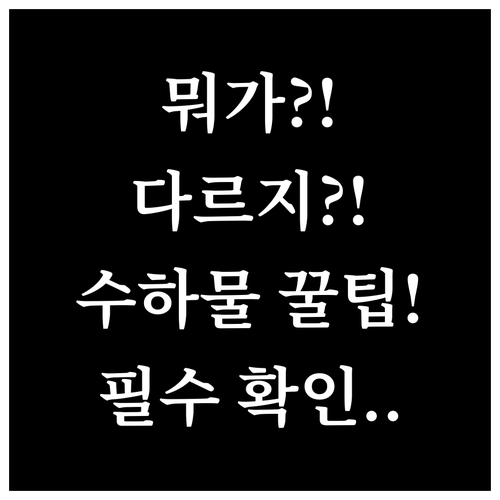 에어로 몽골리아 국제선과 국내선 수하..