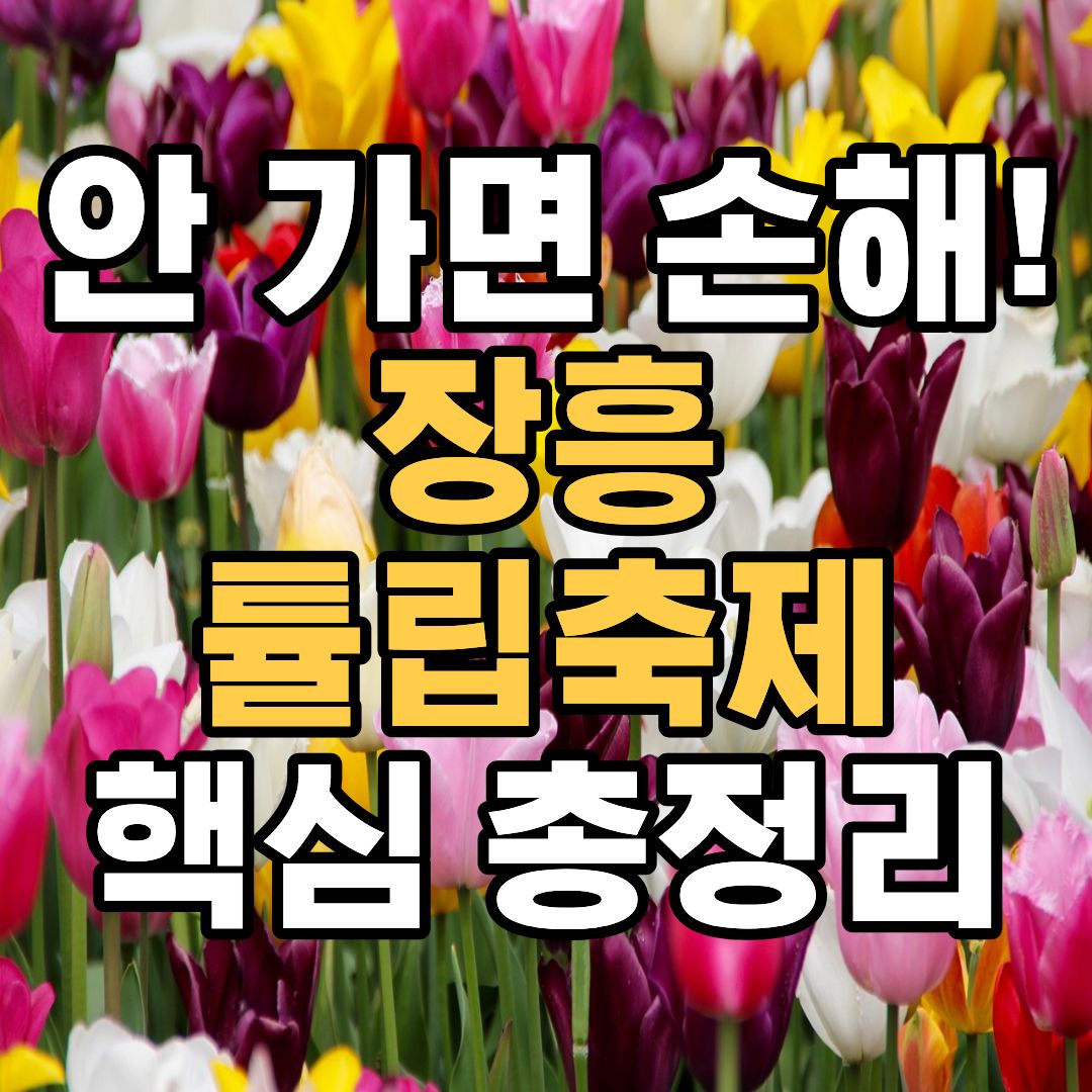 장흥 하늘빛수목원 튤립축제 일정 입장료 체험 총정리