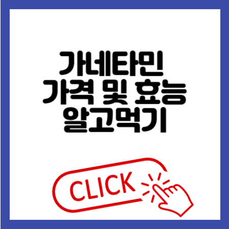 가네타민 가격 및 효능