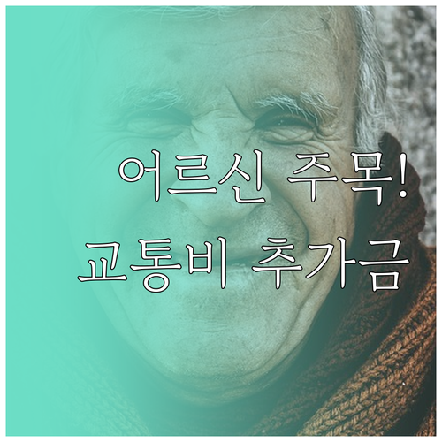 노인일자리 활동 수당 외 교통비 추가..