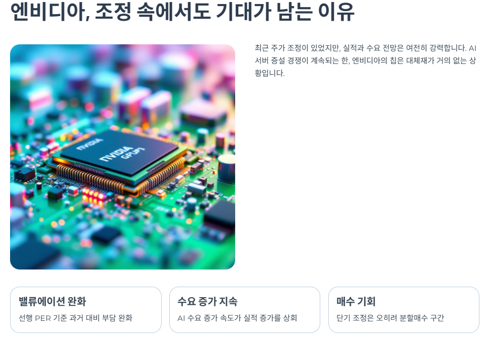 엔비디아, 조정 속에서도 기대가 남는 이유