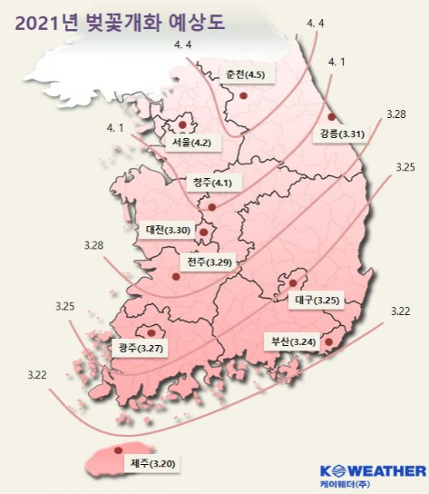 벚꽃 개화예상도1