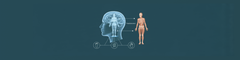 뇌의 예측 모델에 토우본케어의 접근에 대한 설명을 보여주는 이미지