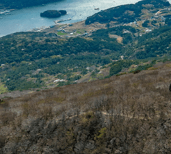 거제 파노라마 케이블카 요금