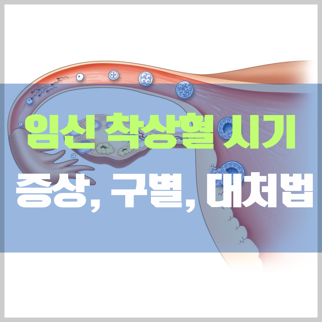 임신 착상혈 시기, 구별, 증상, 대처