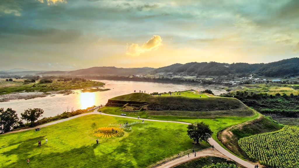 연천 호로고루 해바라기 통일바라기 축제