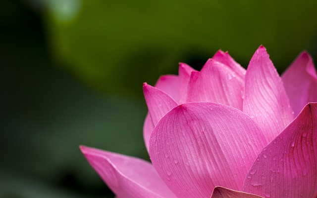 춘천 가볼만한곳 베스트 10