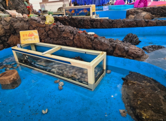 아기랑 제주도 갈만한 곳 5곳