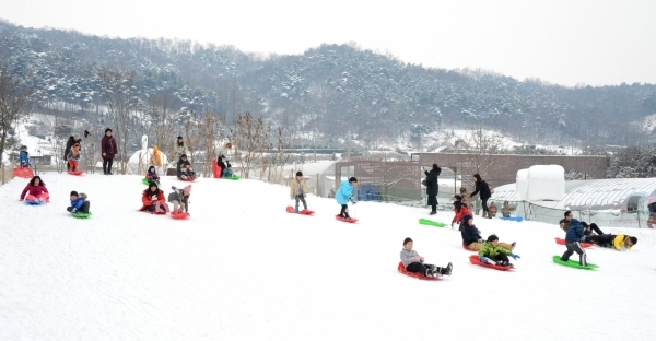 충청도 눈썰매장