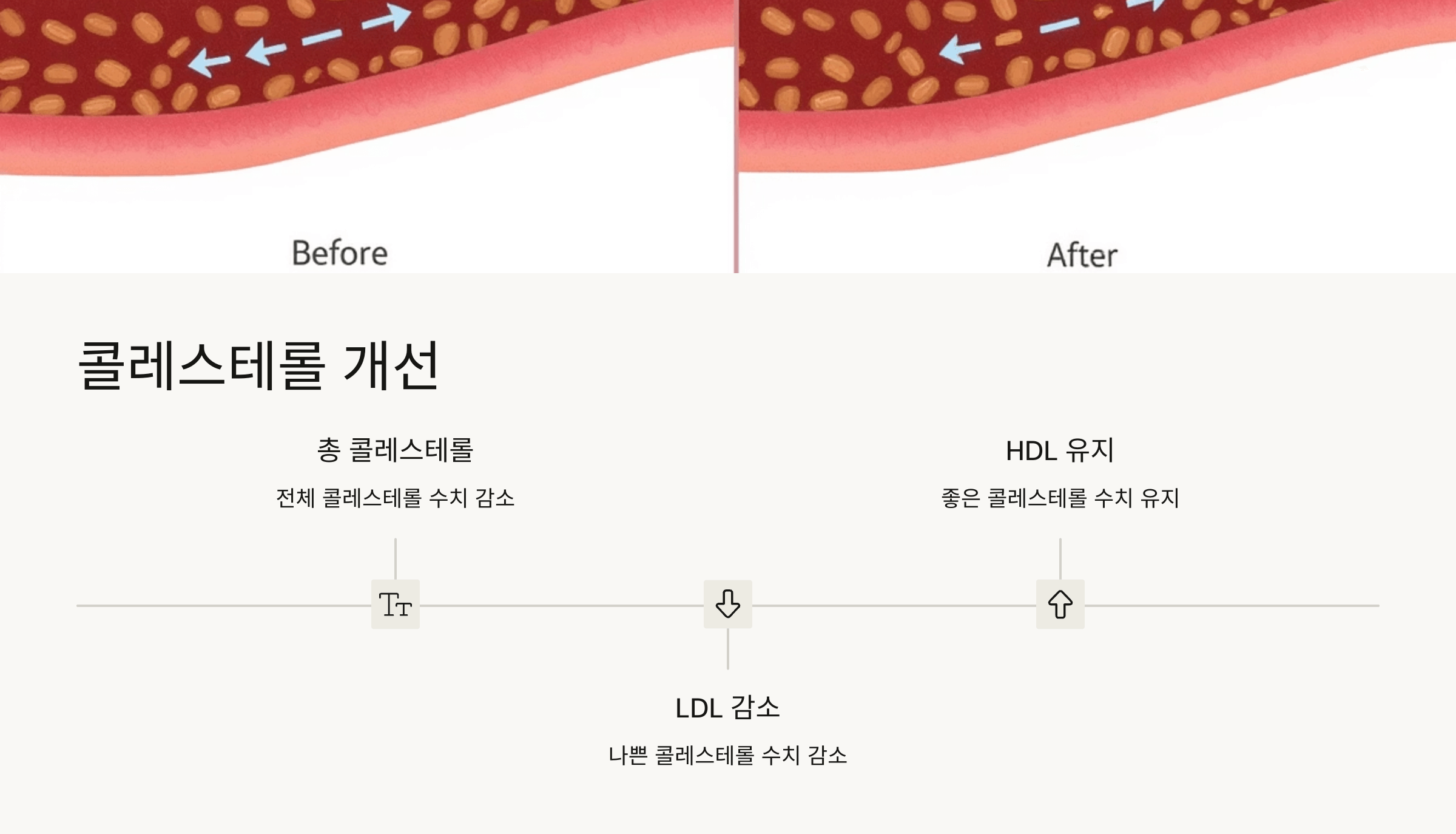 마늘 사진입니다.