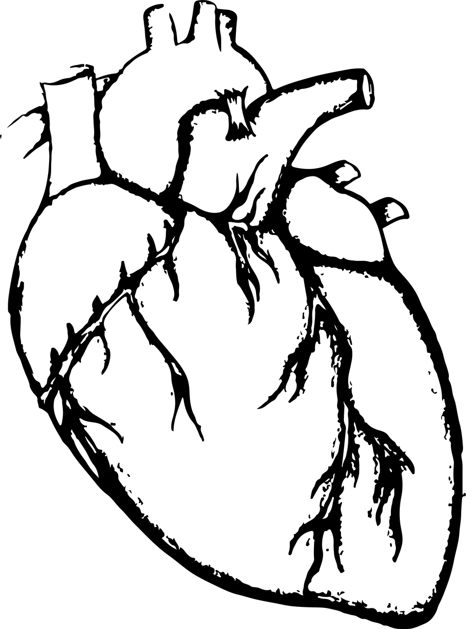 심근염 증상