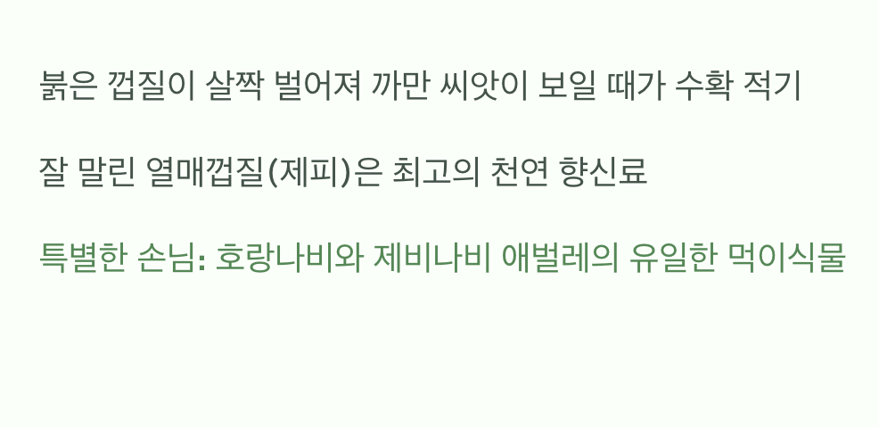 수확의 기쁨, 그리고 특별한 손님