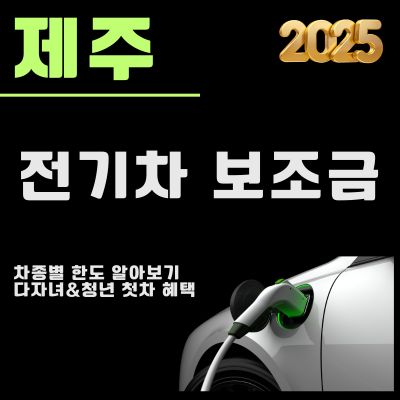 썸네일_2025년 제주 전기차 보조금 차량별 한도 (신청방법, 다자녀, 청년 인센티브)