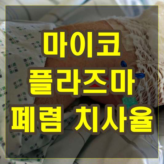 마이코플라즈마 폐렴 치사율