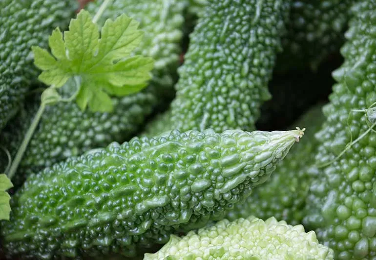 여주 가볼만한곳 베스트10 완벽 관광 가이드_6