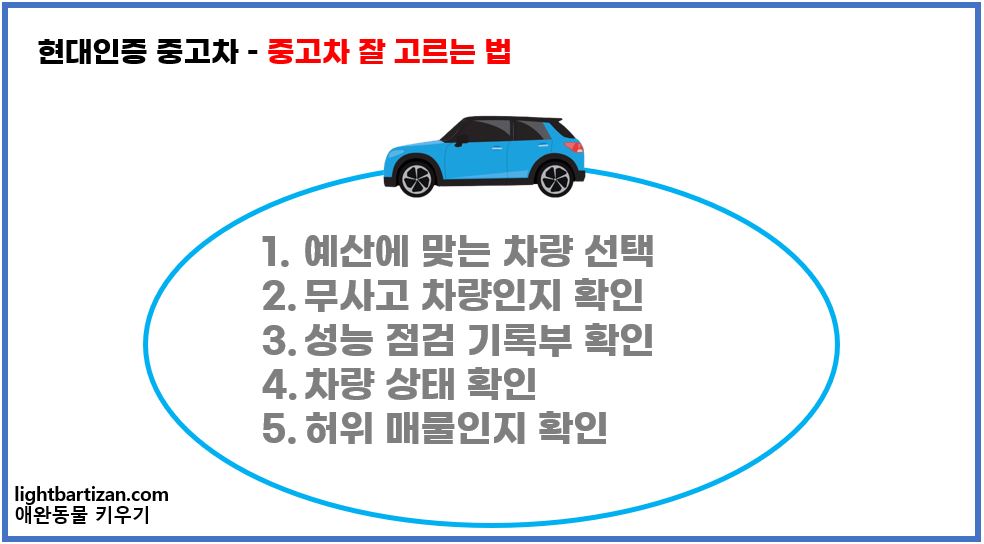 현대 인증중고차 중고차 잘고르는 법