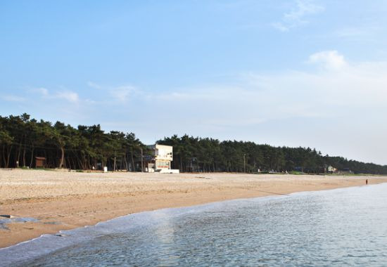 고사포해수욕장