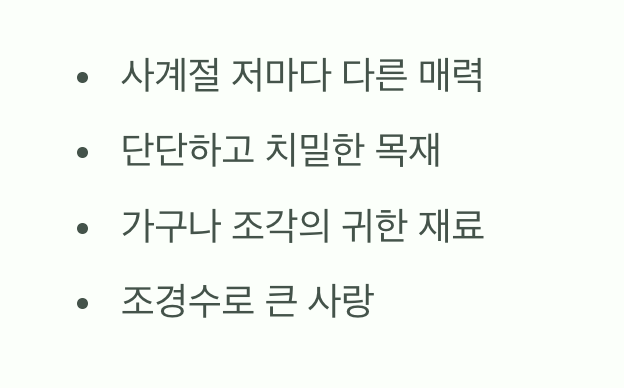 우리 곁의 소중한 보물