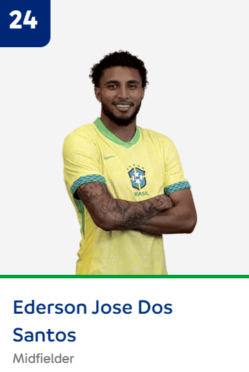 브라질 수비수