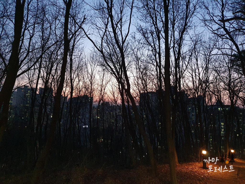 동학산 밤