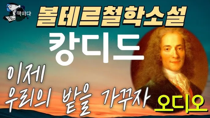 볼테르 캉디드 풍자 소설의 사회 비판과 철학적 메시지_6