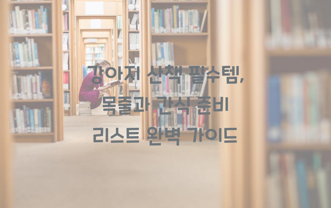 강아지 산책 필수템, 목줄부터 간식까지 준비 리스트