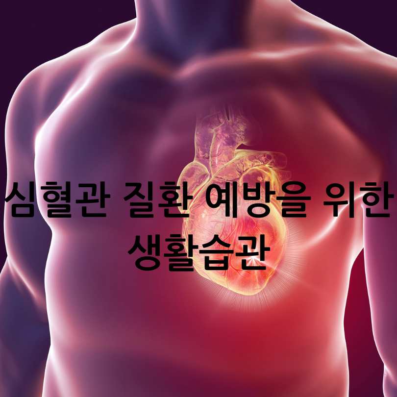 심혈관 질환 전조증상과 예방법