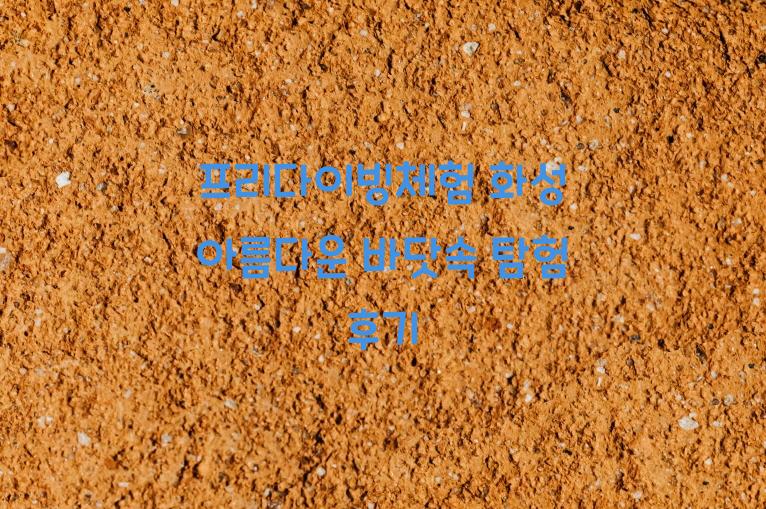 프리다이빙체험